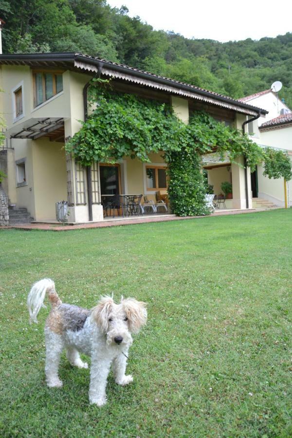 B&B Ca' Dell'Ortolan Villaga Ngoại thất bức ảnh